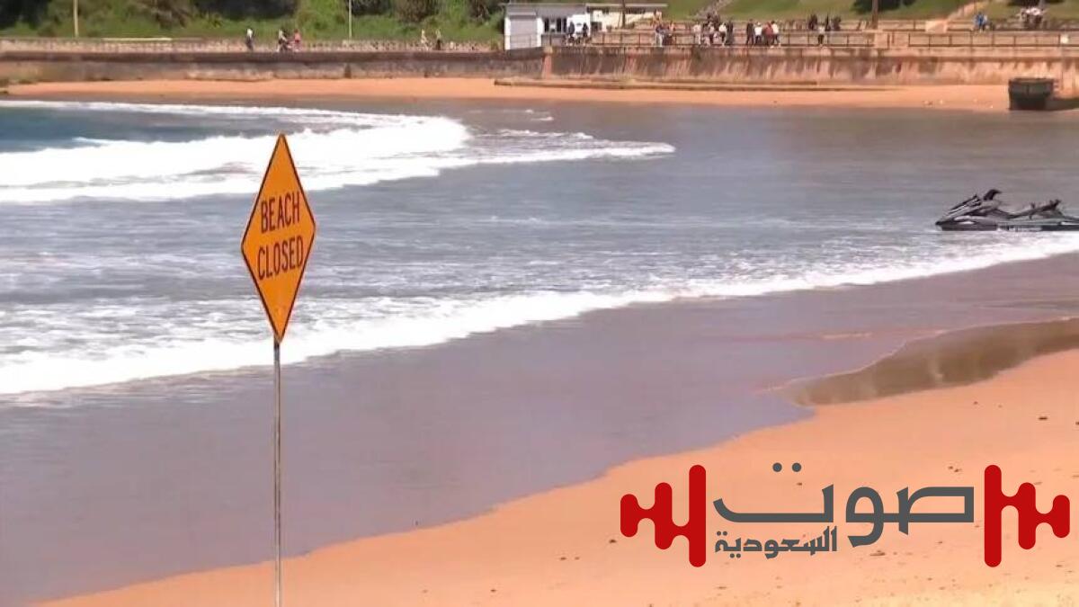 مأساة على شاطئ سيدني.. أب يفقد حياته في هجوم قرش نادر