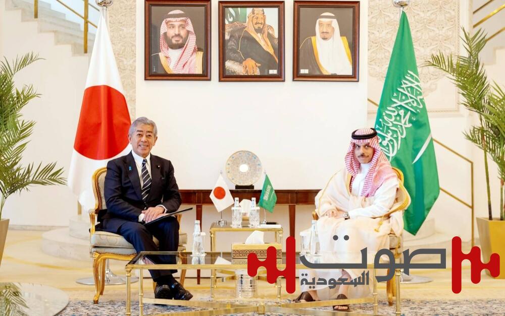 وزير الخارجية ونظيره الياباني يبحثان العلاقات الإستراتيجية
