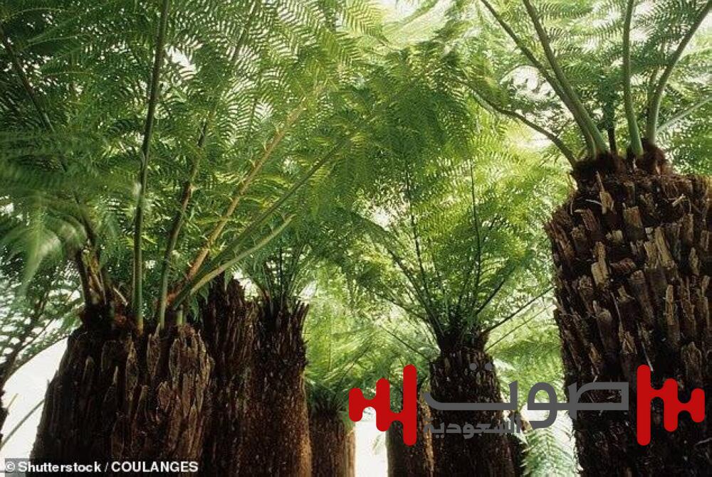 اكتشاف مذهل.. عالم مدفون تحت القارة القطبية منذ 34 مليون سنة