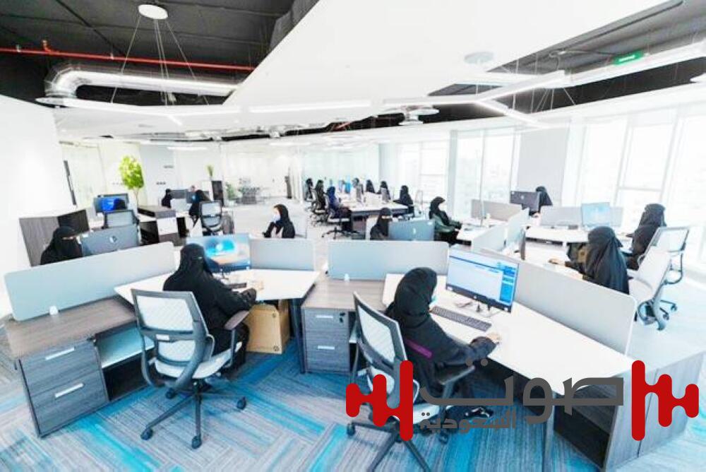 مُصلِحة في «العدل» تنهي نزاعاً مالياً.. بـ 150 مليون ريال.. «عكاظ» تنشر التفاصيل