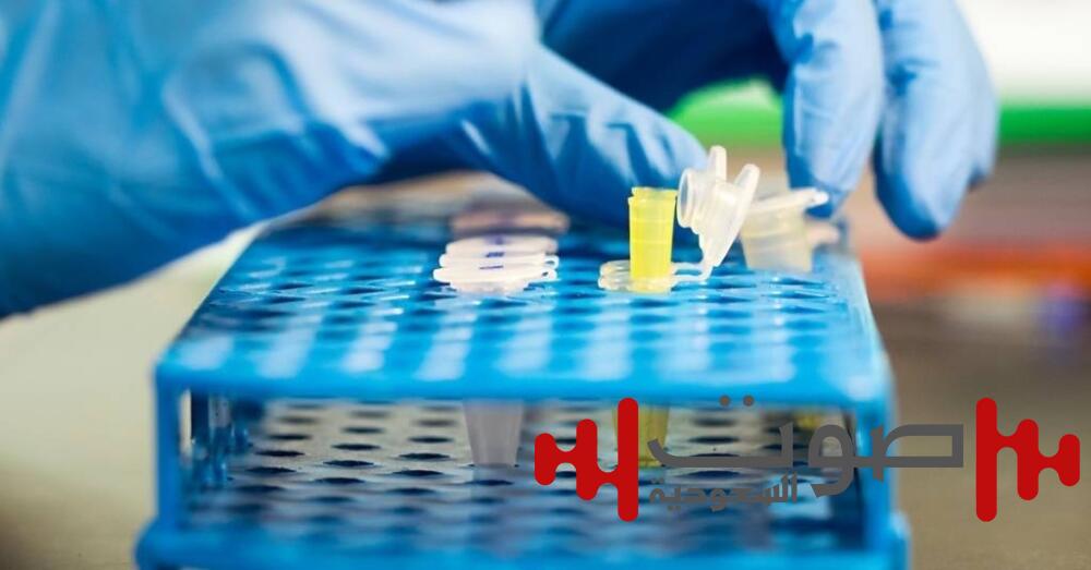 أبٌ يزوِّر اختبار DNA للهروب من النفقة.. والأم تقوده للسجن