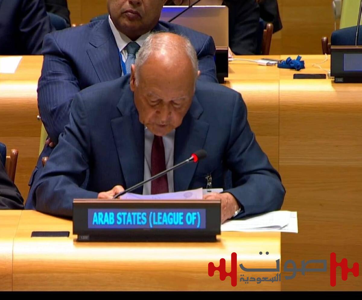 جامعة الدول العربية: التطبيع مع إسرائيل دون دولة فلسطينية محض وهم