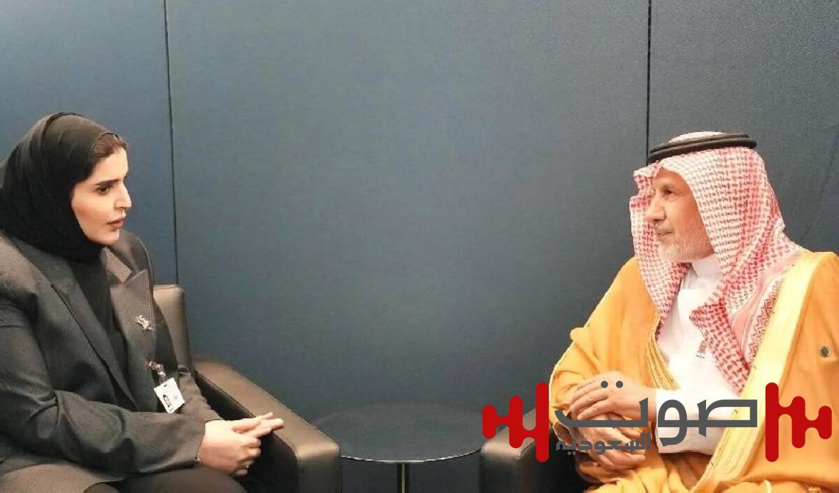 «الربيعة» يلتقي وزير الدولة للتعاون الدولي بـ«الخارجية 
القطرية»