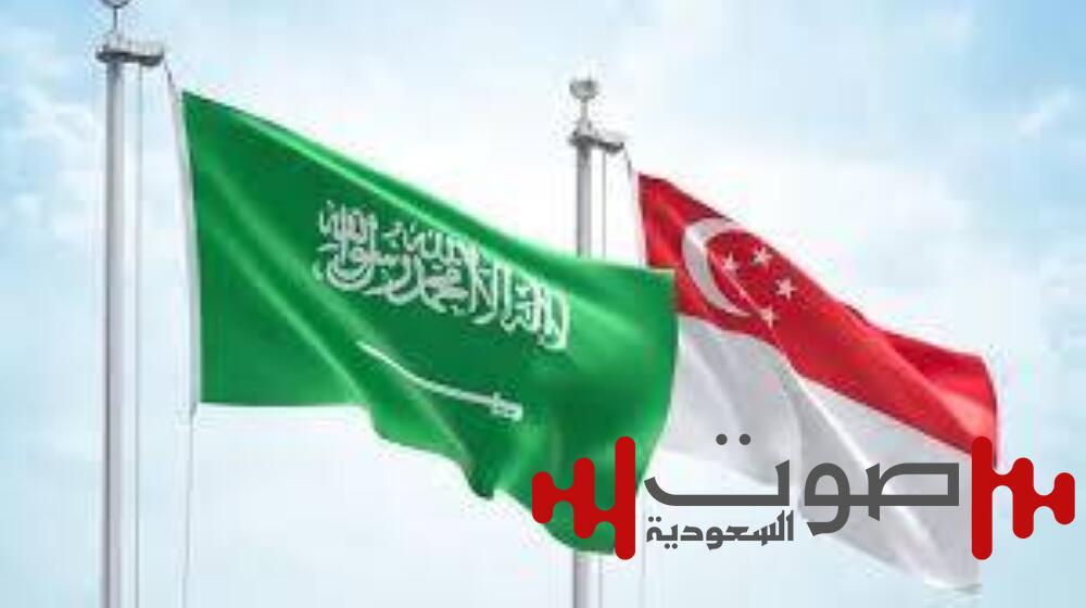 «السعودية-سنغافورة».. تعزيز الشراكة والاستدامة في التأمينات الاجتماعية