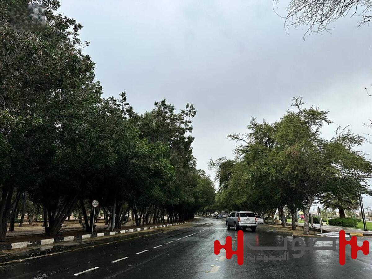 «الأرصاد»: أمطار غزيرة على منطقة نجران