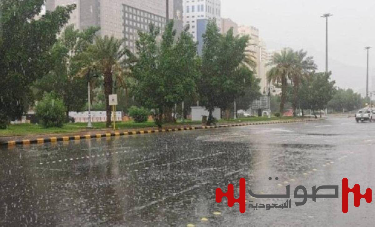 «الأرصاد»: أمطار رعدية غزيرة على أجزاء من مناطق جازان وعسير والباحة