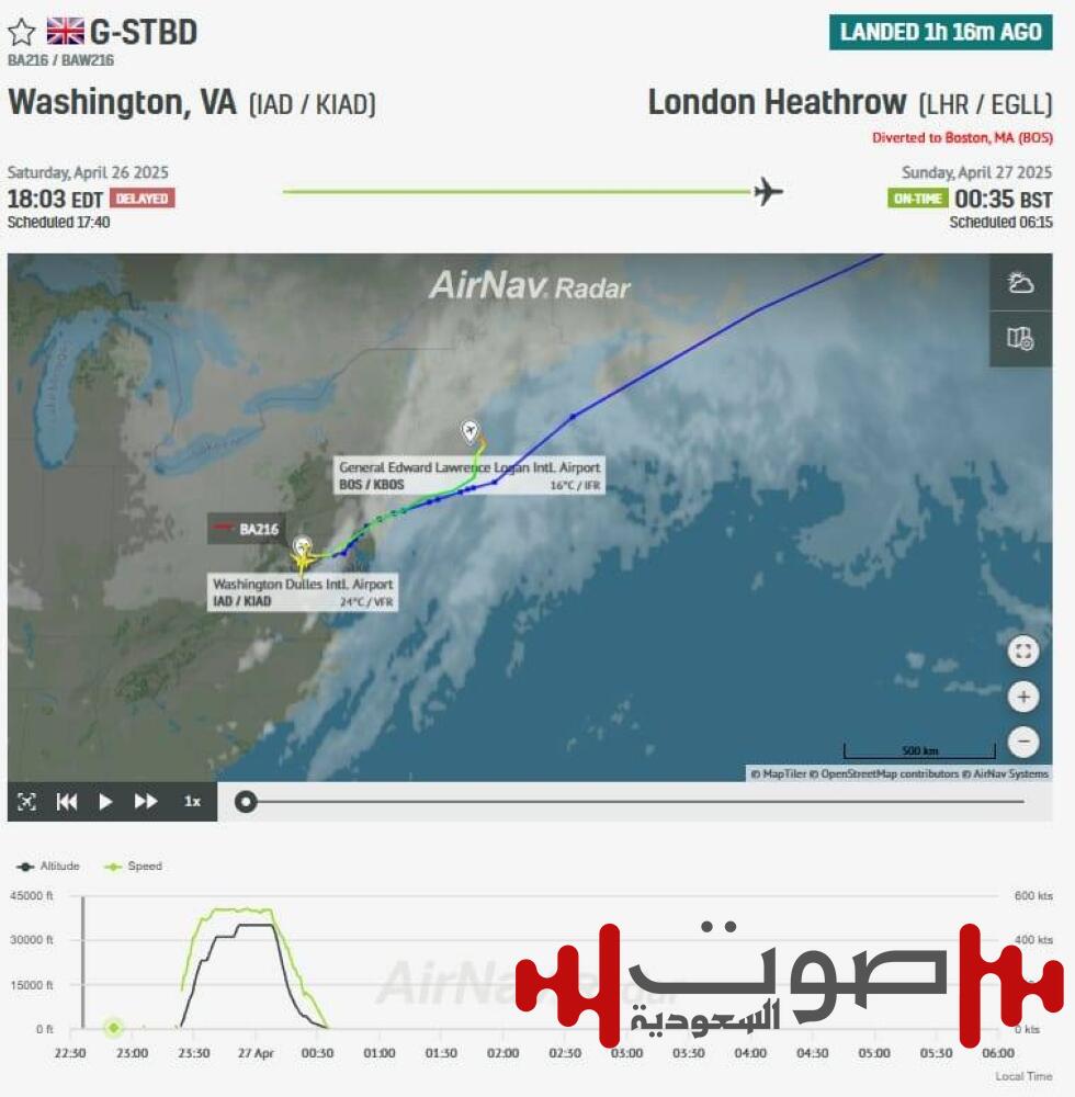 الطيور تهدد الطائرات مجدداً.. هبوط اضطراري لطائرة بريطانية في بوسطن