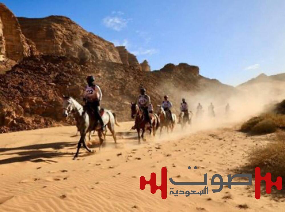 العُلا تُرسّخ مكانتها العالمية في بطولات الخيل وسباقاته المتنوعة