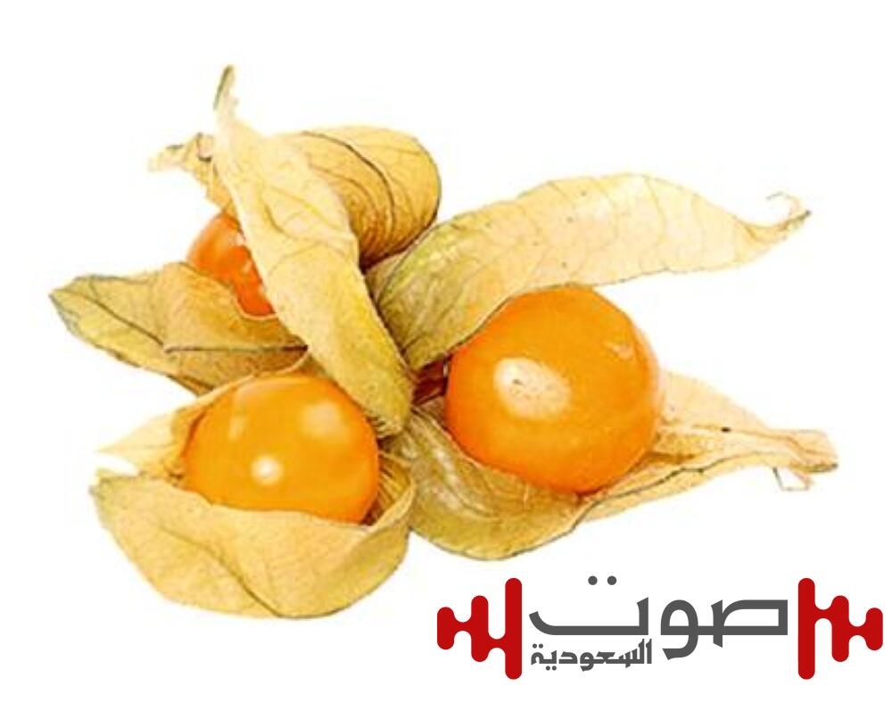 فوائد الحرنكش: