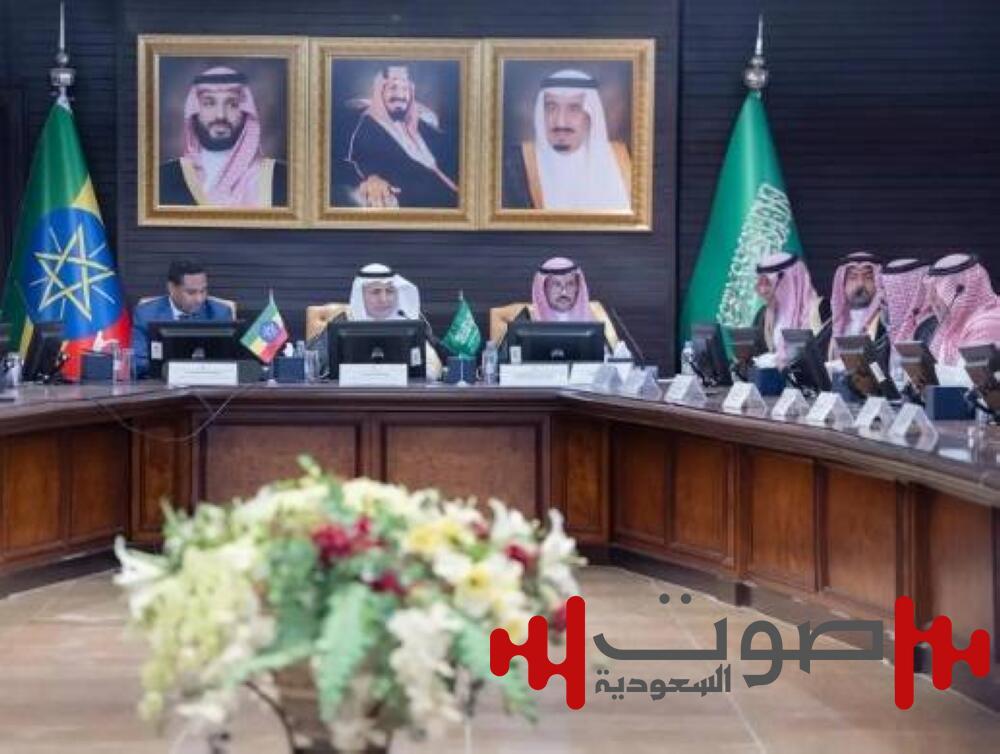 فرص اسثمارية للسعوديين في إثيوبيا بقطاعات الزراعة والأغذية والسياحة والفندقة والتصنيع