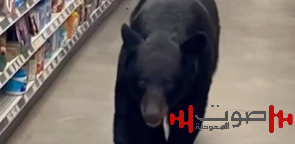 فيديو: دب يهاجم مسنة داخل متجر أمريكي