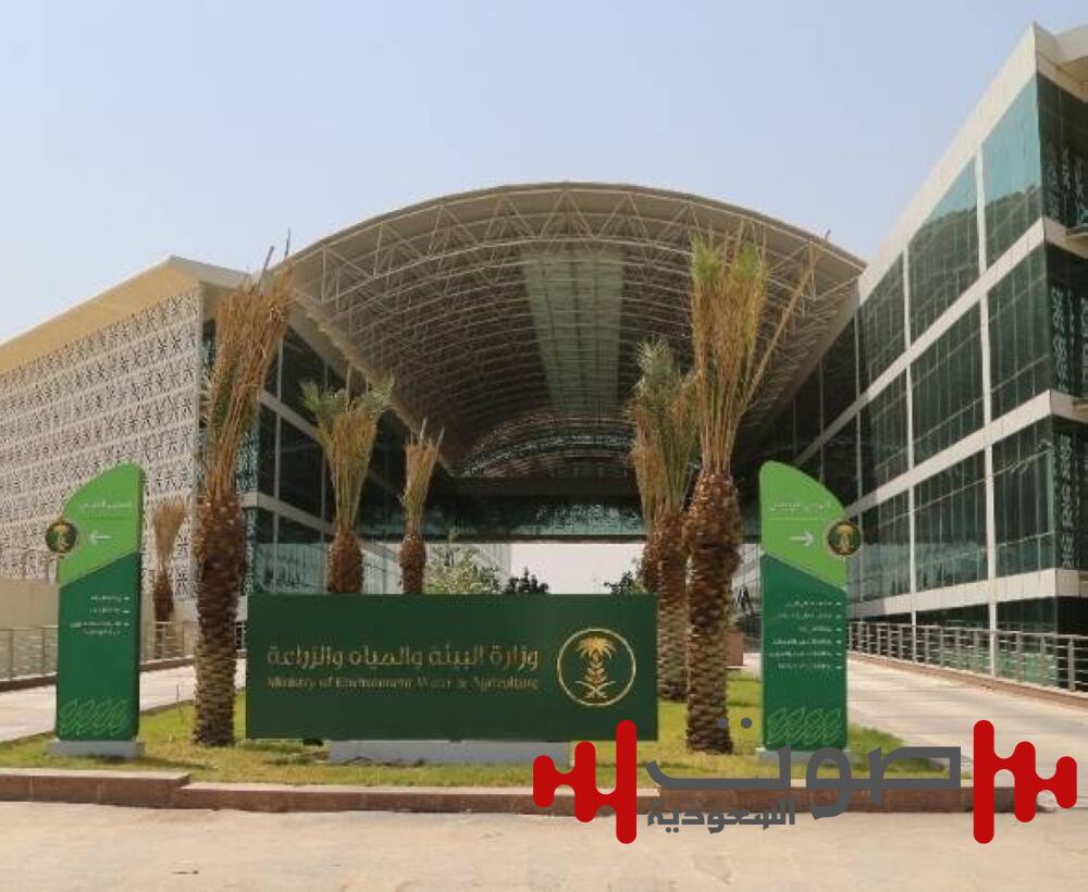 «البيئة» تُعلن عن فسح أكثر من 351 ألف رأس ماشية واكتمال جاهزية قطاعات المنظومة لموسم الحج