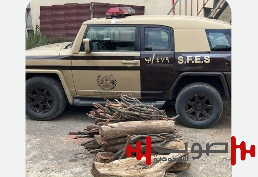 القوة الخاصة لأمن الطرق بالقصيم تضبط مخالفاً لنظام البيئة
