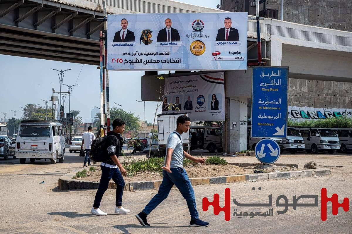 المصريون في الخارج يختارون أعضاء مجلس الشيوخ