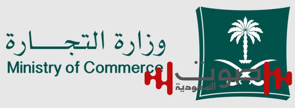 2030 آخر موعد للسجل الفرعي.. إما التعديل أو الشطب