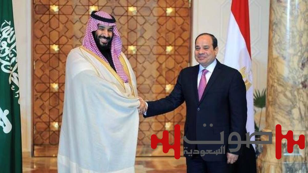 برئاسة ولي العهد والرئيس السيسي.. مجلس تنسيق سعودي ـ مصري لتعميق التعاون