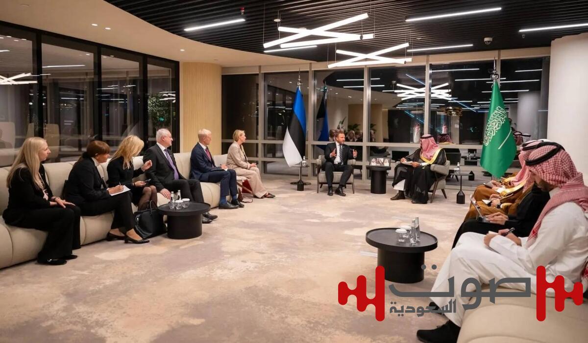 وزير الاقتصاد يبحث مع وزير الخارجية الإستوني تعزيز التعاون الثنائي