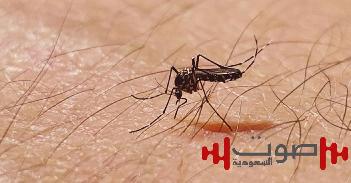 فايروس شيكونغونيا يعاود الانتشار ويهدد ملايين البشر