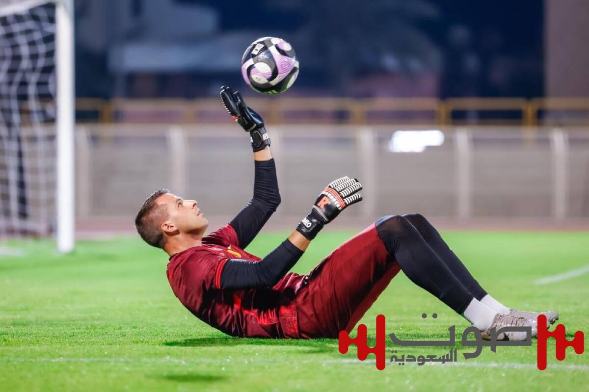 طالب بتساوي الدعم.. مدرب الخليج «دونيس»: لو توفرت لنا ميزانية أكبر لحققنا نتائج أكثر تأثيراً