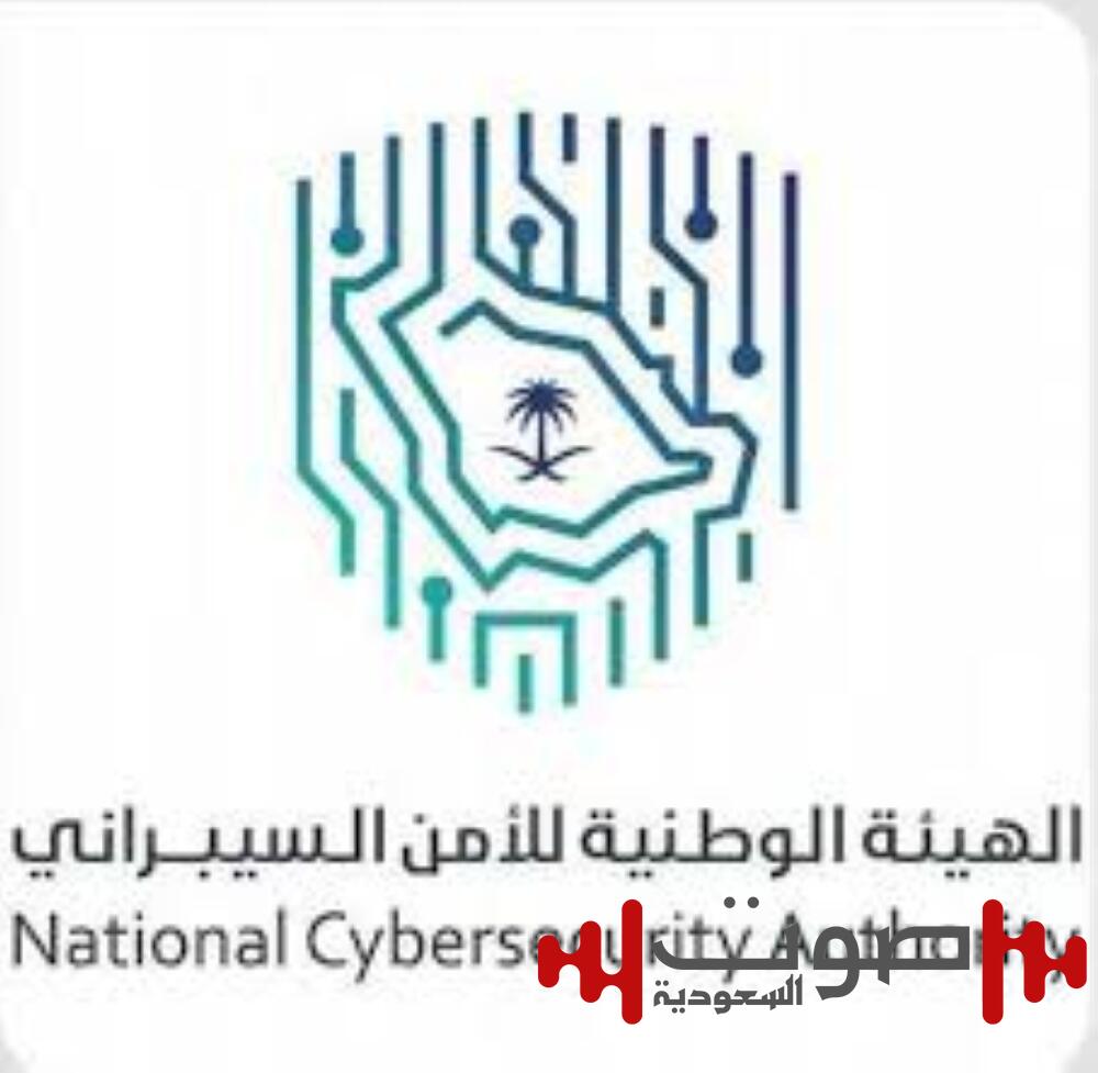13 مليار ريال قيمة سوق الأمن السيبراني في السعودية