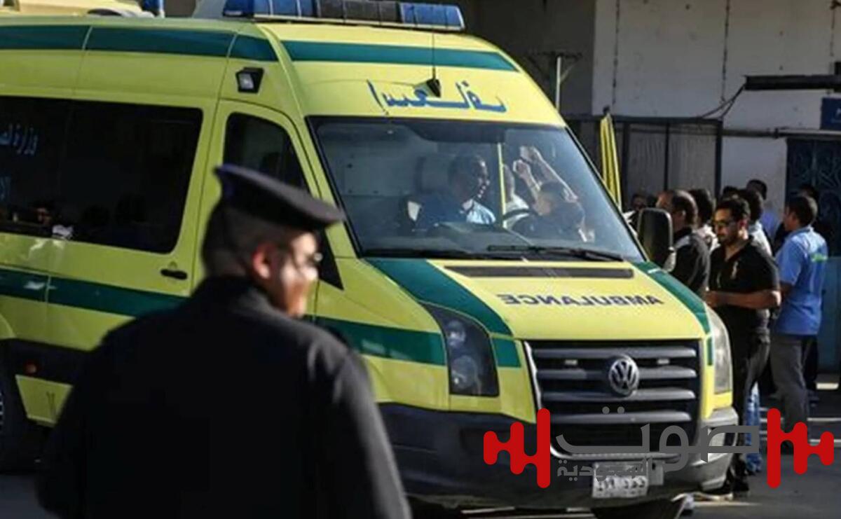 جريمة مروعة في الإسكندرية.. أب يطعن طفلتيه وينتحر