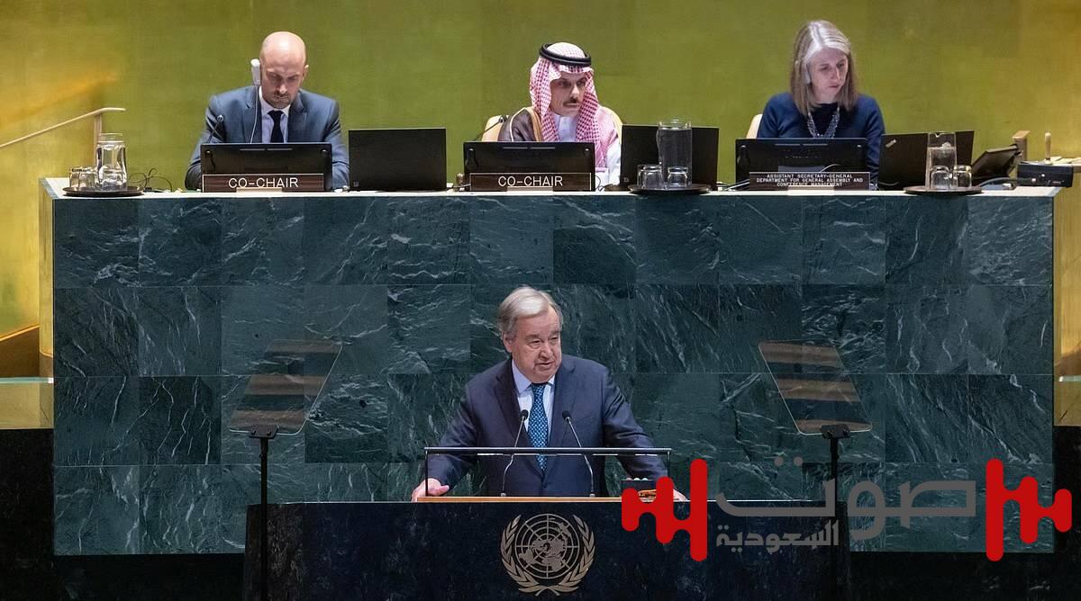 وزير الخارجية يعتمد وثيقة مؤتمر حل الدولتين