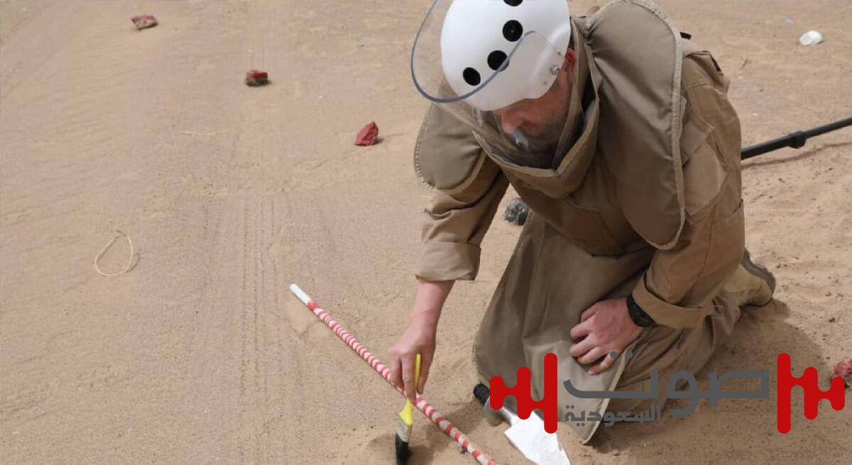 طهَّر سواحل ومحافظات محررة.. «مسام» ينتزع 915 لغماً في أسبوع
