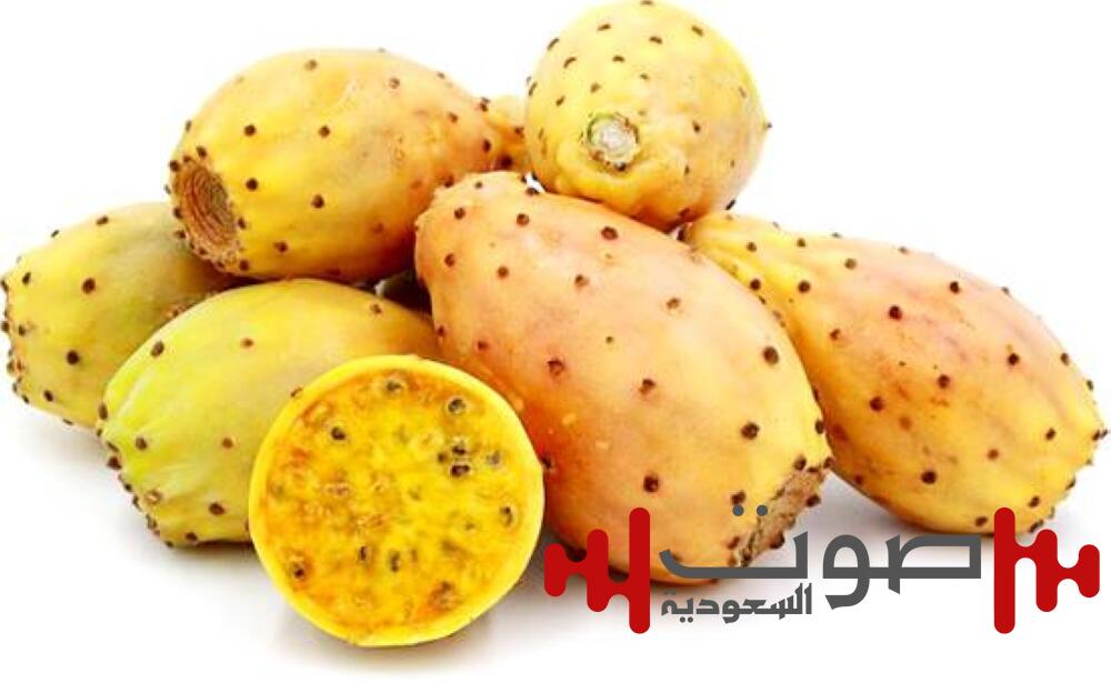 فوائد التين الشوكي: