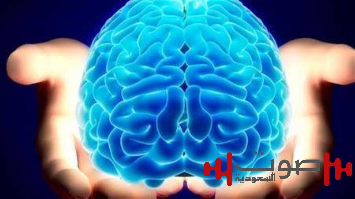 اكتشاف «بروتين مفتاحي» قد يبطئ شيخوخة الدماغ