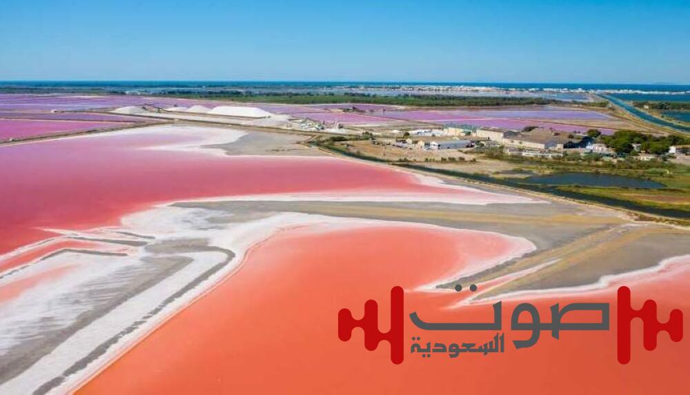 ظاهرة «مدّ أحمر» غير مسبوقة تقتل آلاف الكائنات البحرية في أستراليا