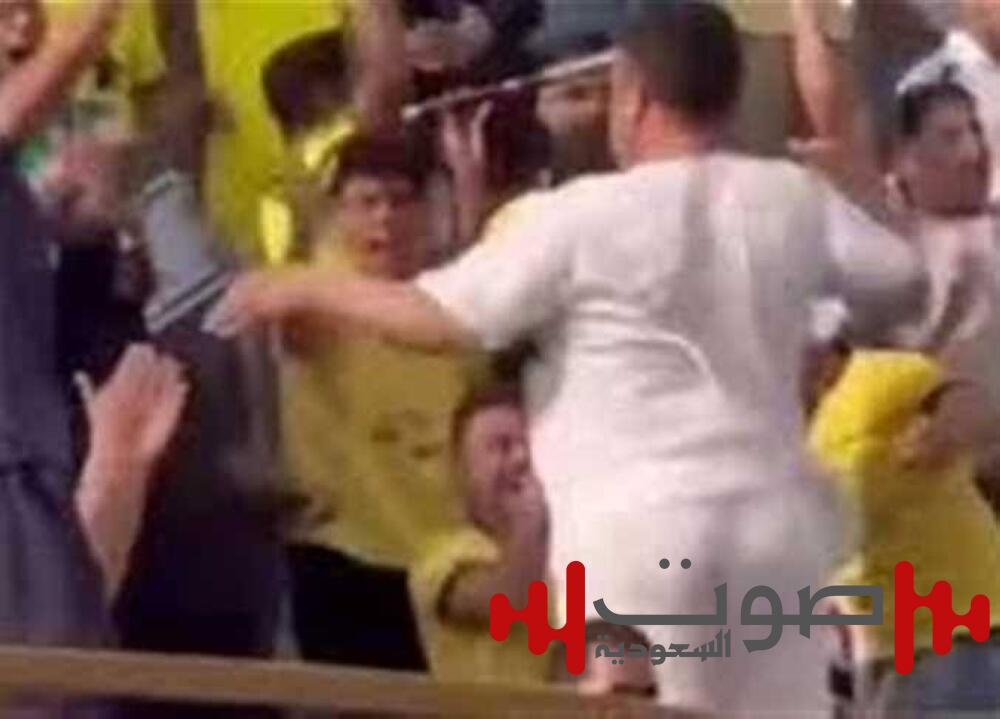 فرحة مشجع تهز الملاعب في مصر.. وقرار وزاري بالتحقيق العاجل