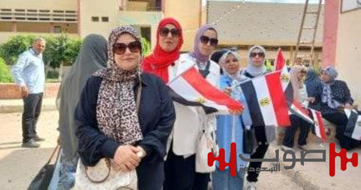 المصريون يختارون ثلثي أعضاء مجلس الشيوخ