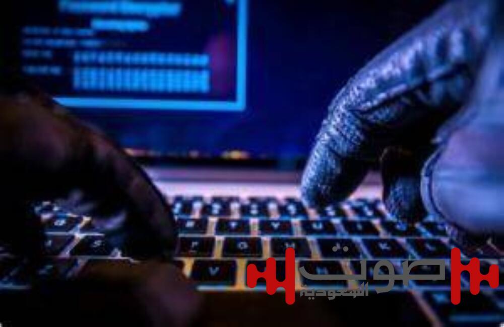 وقع ضحية احتيال إلكتروني.. بسبب السعر المغري!