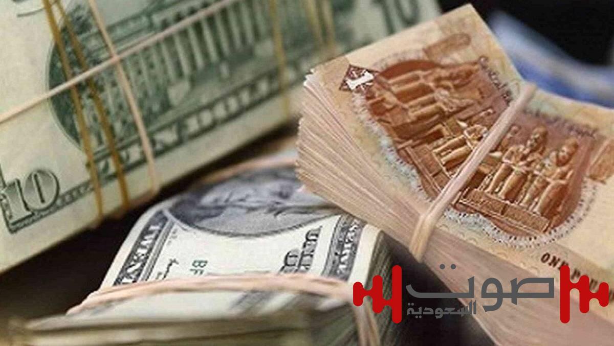 الدولار بـ 48.5 جنيه.. تراجع جديد لـ«الورقة الخضراء» في مصر
