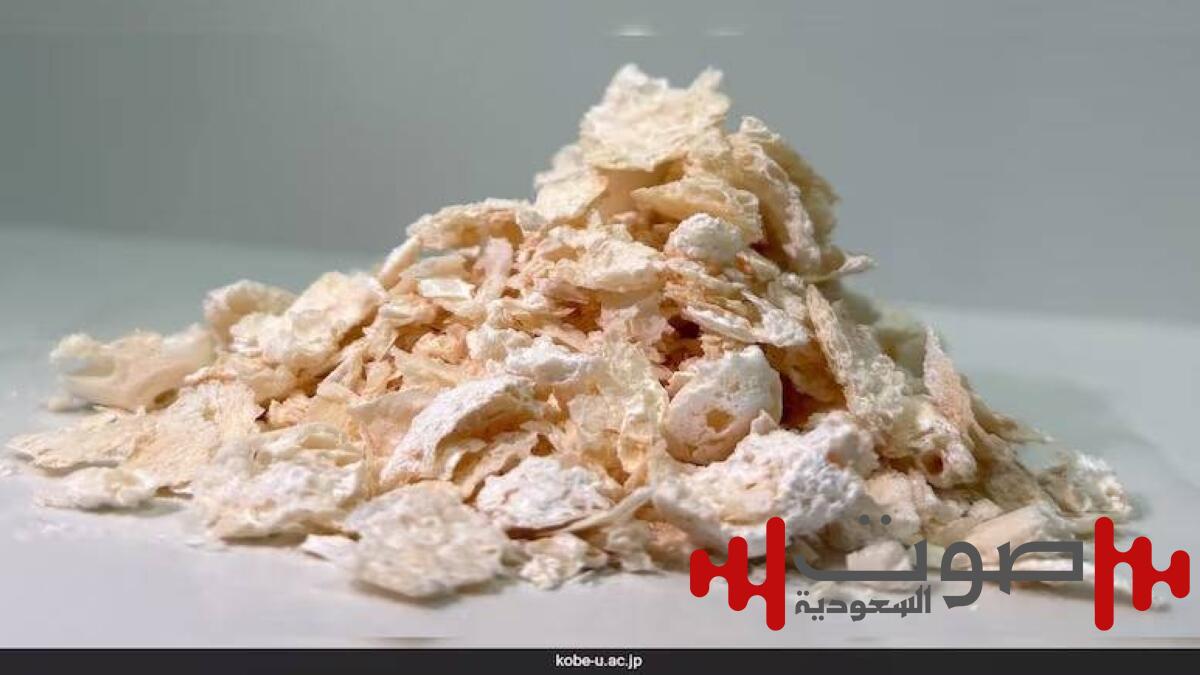 ثورة البكتيريا.. اليابان تخلق بلاستيكاً يأكل نفسه ويودع البترول!