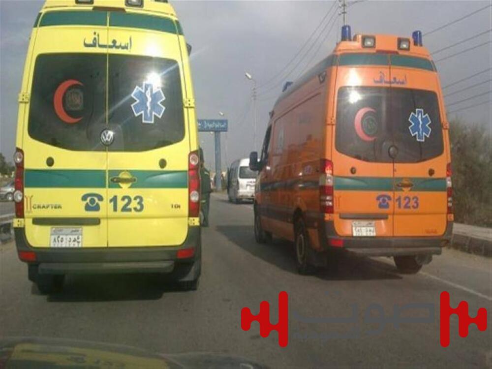 العثور على جثث 3 أطفال داخل مسكنهم في الجيزة