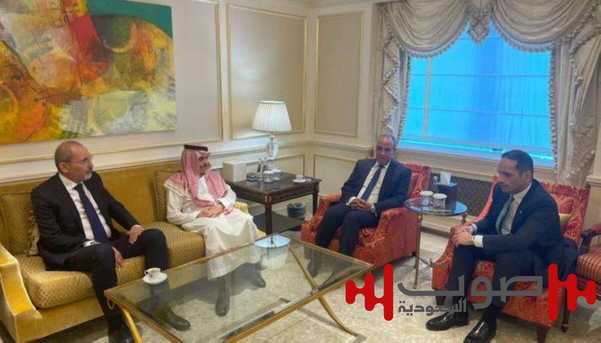 4 وزراء خارجية عرب يناقشون الأوضاع المأساوية في غزة