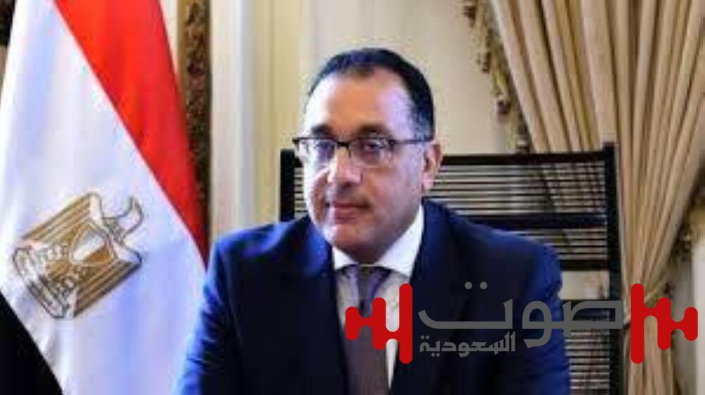 تشكيل لجان متخصصة لتعزيز الهوية المصرية في المحتوى الإعلامي والدرامي