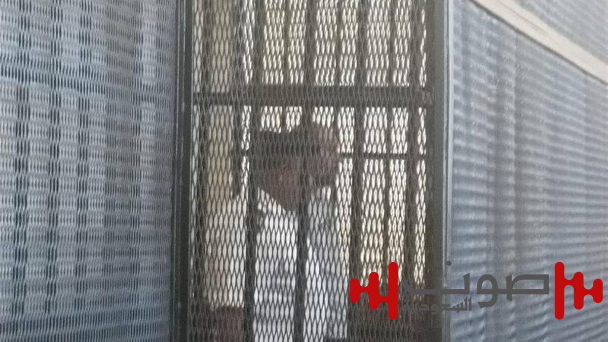 مصر: الإعدام لـ«سفاح المعمورة».. قتل زوجته ودفن ضحاياه تحت البلاط