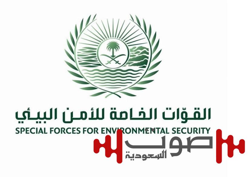 ضبط سوداني خالف نظام البيئة في محافظة الوجه
