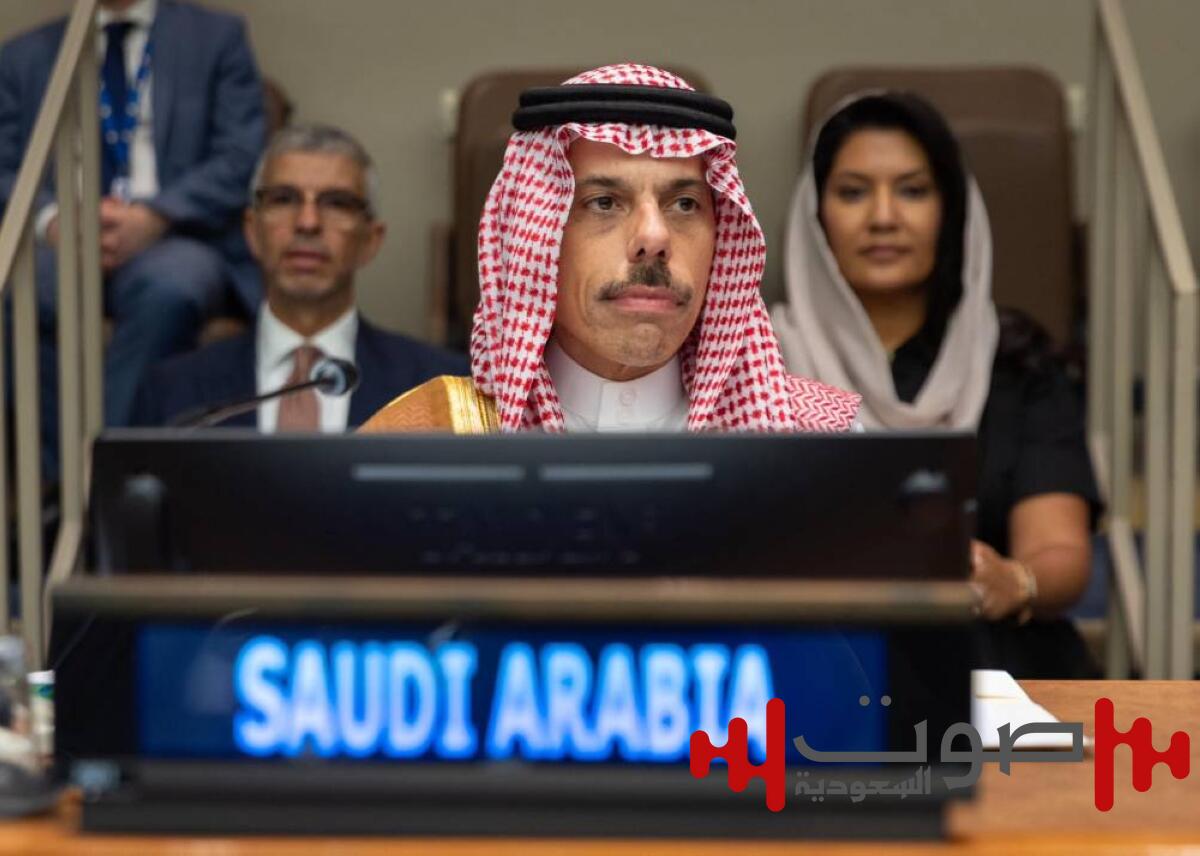 وزير الخارجية: إعلان نيويورك يؤكد أن غزة والضفة بما فيها القدس الشريف أرض فلسطينية واحدة غير قابلة للتجزئة