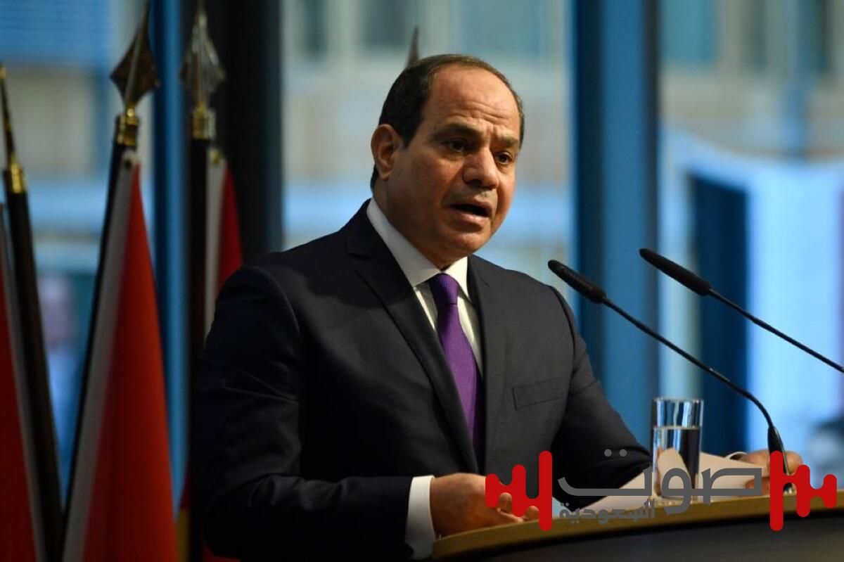 مصر تؤكد دعمها للمبادرة السعودية ـ الفرنسية لتسوية القضية الفلسطينية