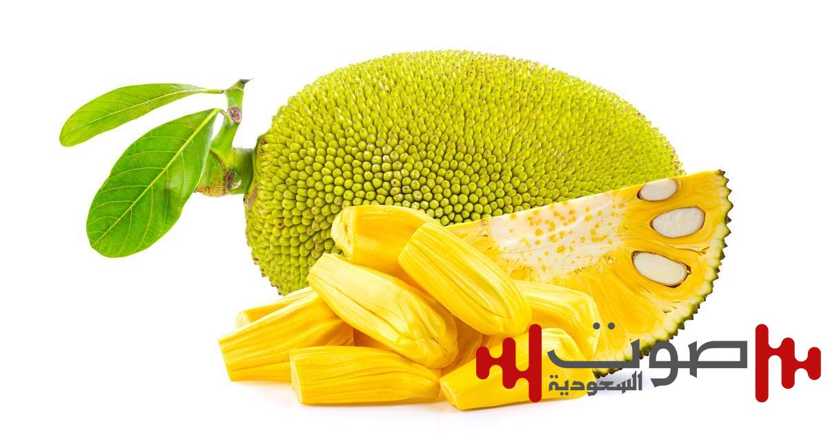 فوائد الكاكايا