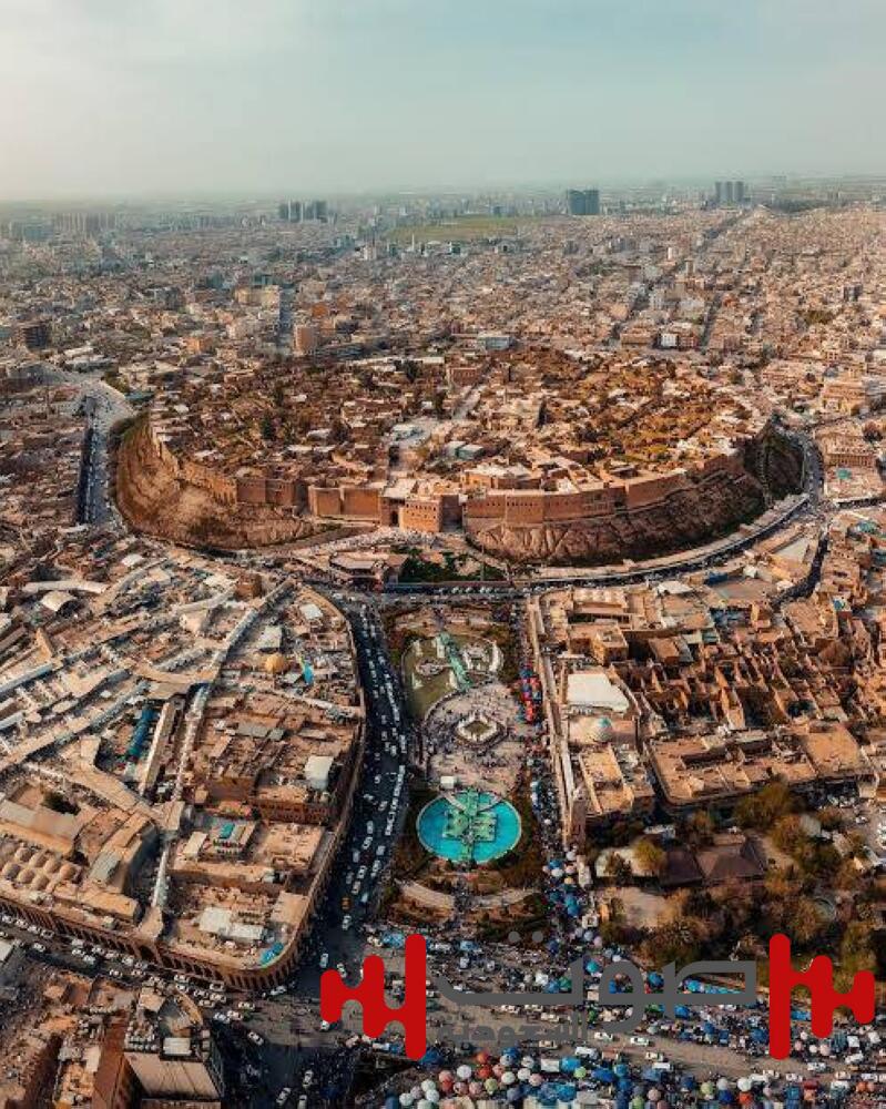 2 دولار لكل كلب ضال.. فرصة عمل غريبة في أربيل