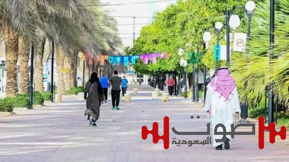 متوسط عمر الفرد السعودي 26.6 سنة.. 71% تقل أعمارهم عن 35
