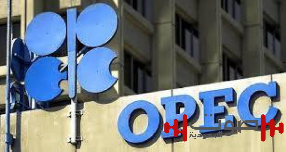 «أوبك»: 18 أغسطس موعد أقصى لتقديم الدول خطط تعويضات الإنتاج