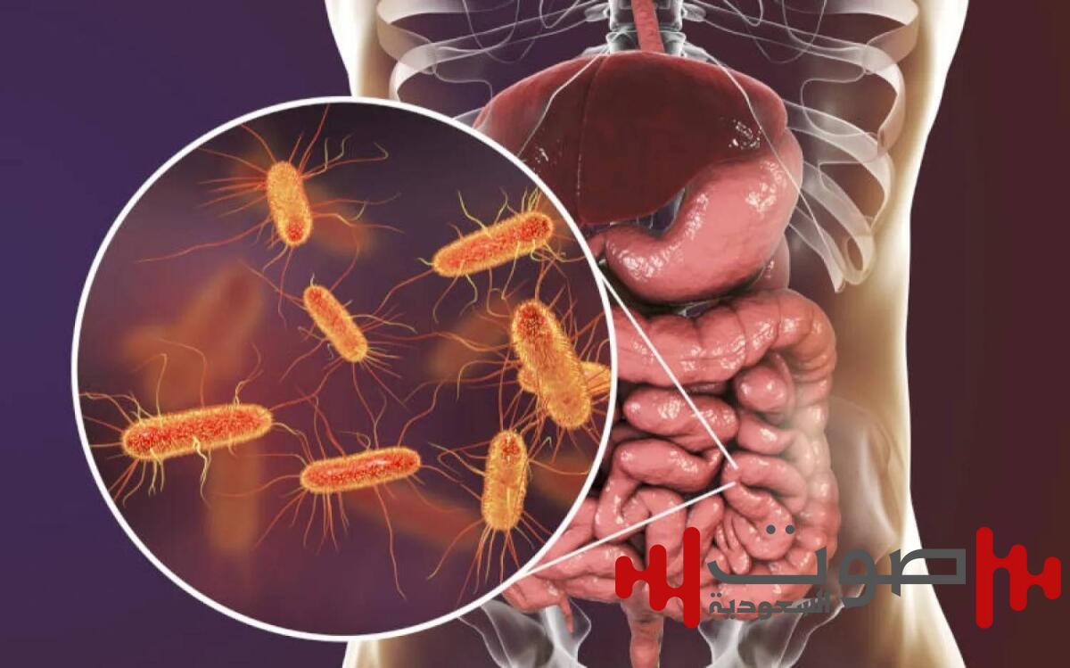 دراسة: بكتيريا الأمعاء وراء تأخر النمو عند الأطفال