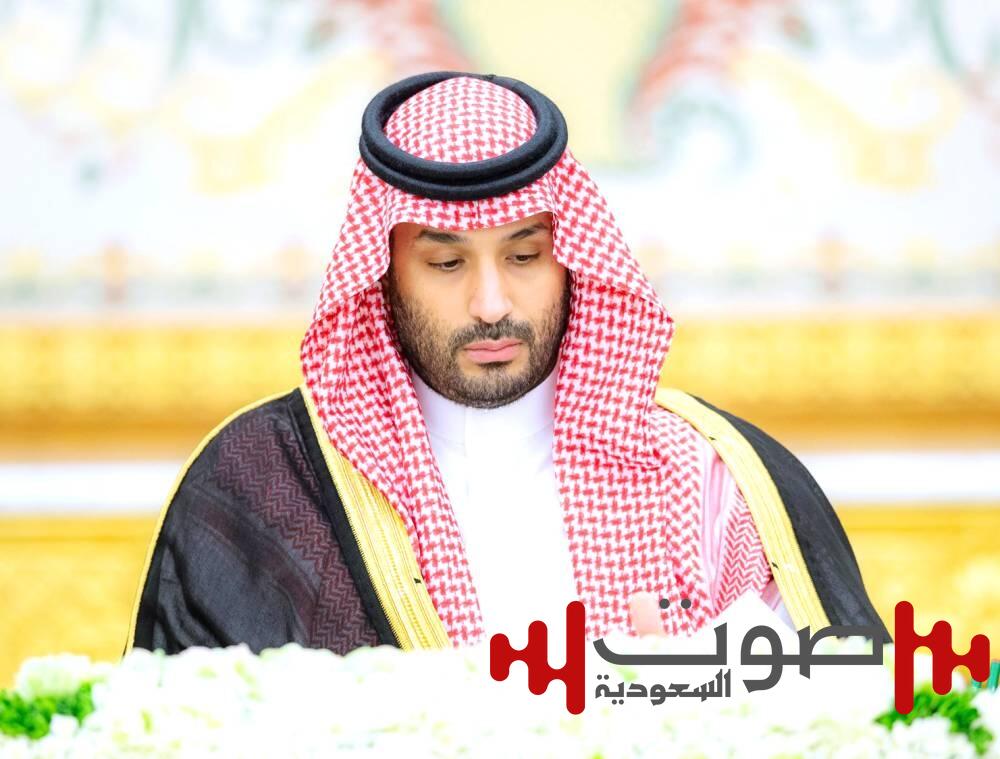 مجلس الوزراء: الدولة تتحمل ضرائب ورسوم إرساليات المواشي إلى نهاية الحج