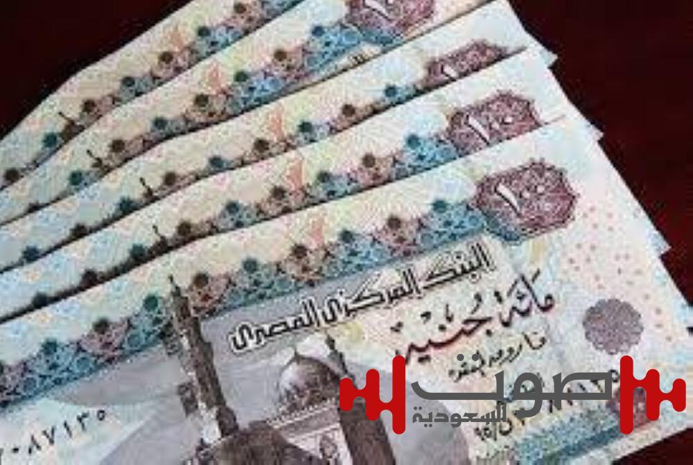 «النقد الدولي» يرفع توقعاته لسعر صرف الجنيه المصري