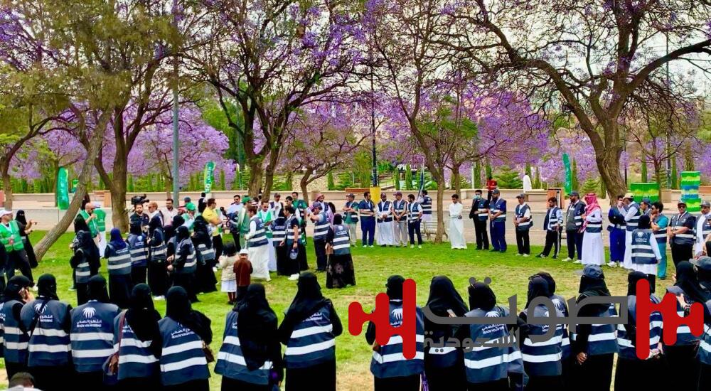 عسير تمشي نحو الصحة مع مبادرة «امش 30» وسط أزهار الجاكرندا